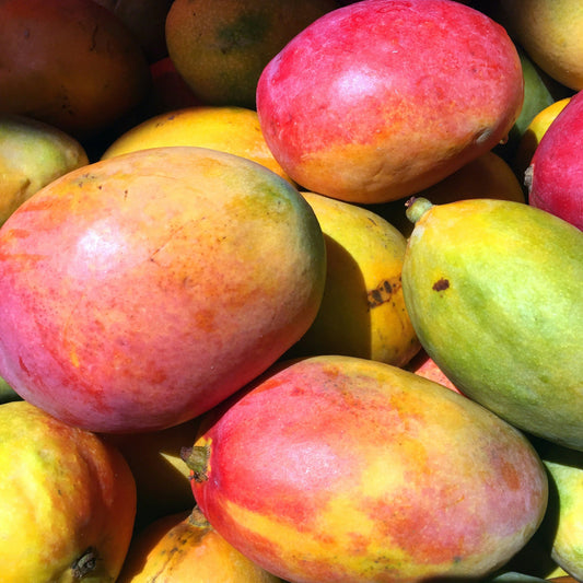 Mango Brooks ØKO fra Burkina Faso