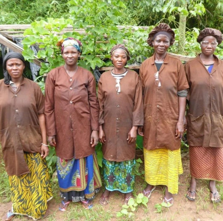 Cashewnødder, saltede fra Burkina Faso