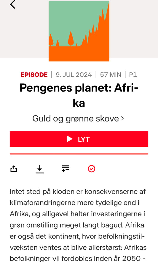 🌍 Hvad kræver det at investere i bæredygtige løsninger i Afrika?