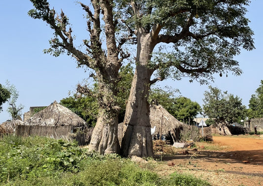 Landsby Senegal