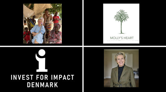 Min vej gennem Molly’s Heart og Invest for Impact Denmark