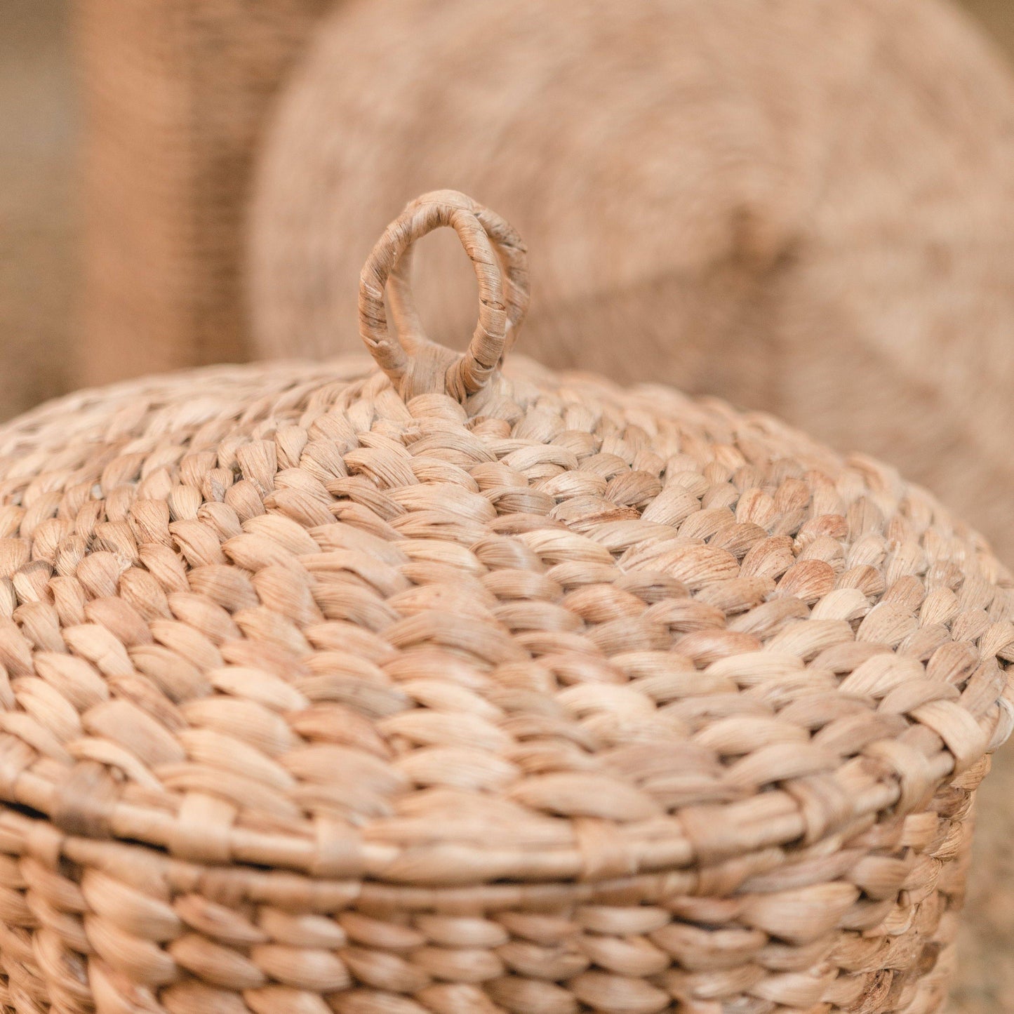 Laundry basket with lid