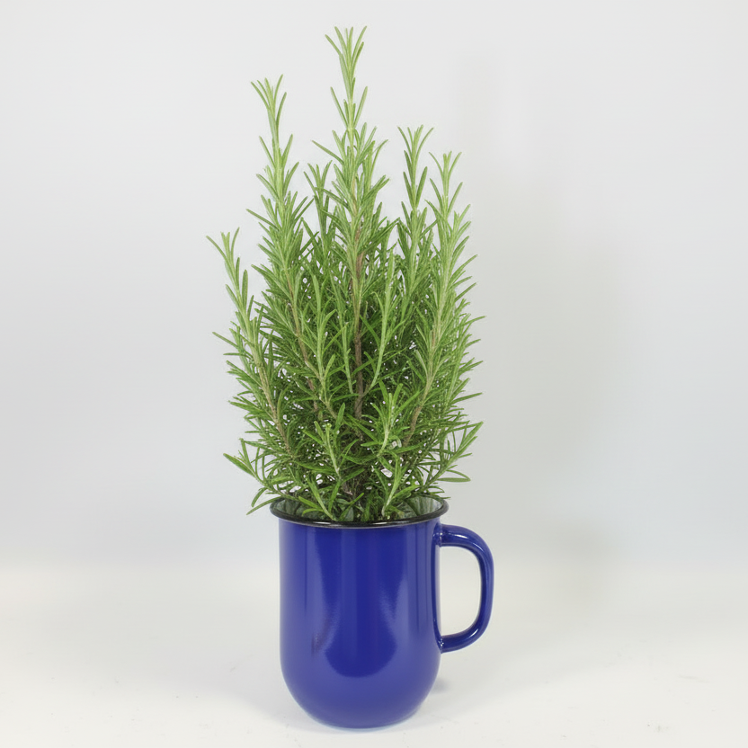 Håndlavet emaljekaraffel fra Ukraine, Fair Trade for Peace: Blå