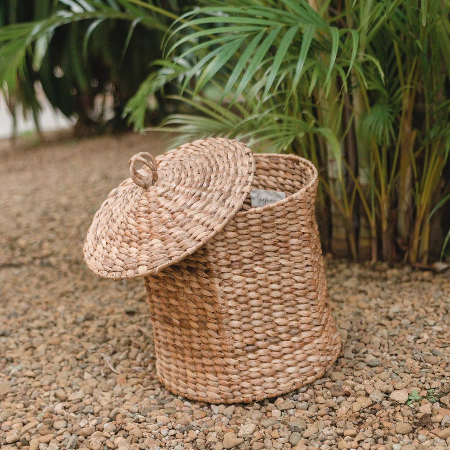 Laundry basket with lid