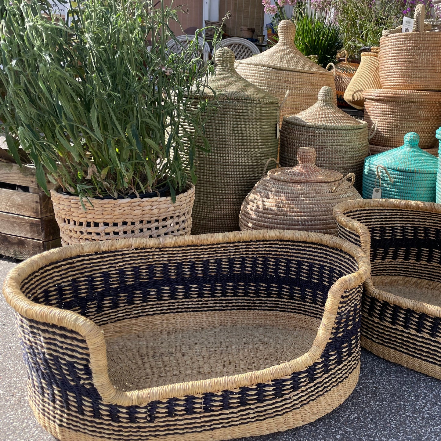 Dog basket in three sizes woven in sea grass. Carry goods and Fair Trade from Ghana