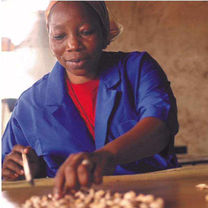 Cashewnødder, saltede fra Burkina Faso
